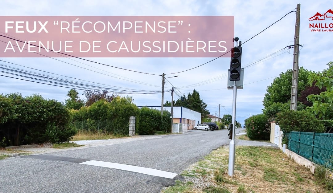 Vandalisation des feux récompenses : Avenue de Caussidières