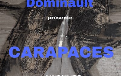 Exposition Carapaces – Evelyne Dominault