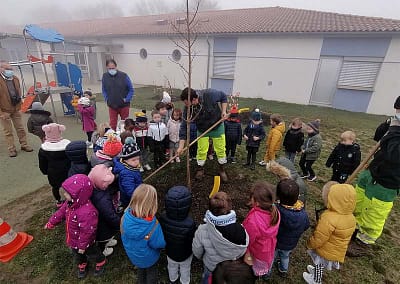 Image environnement et arborisation avec la classe de maternelle