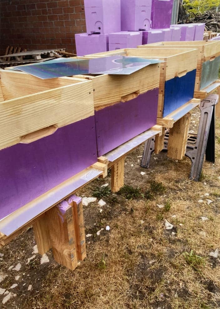Des ruches en train d'êytre assemblées et peintes en violet et bleu. Des plaques de zinc attendent d'être posées.