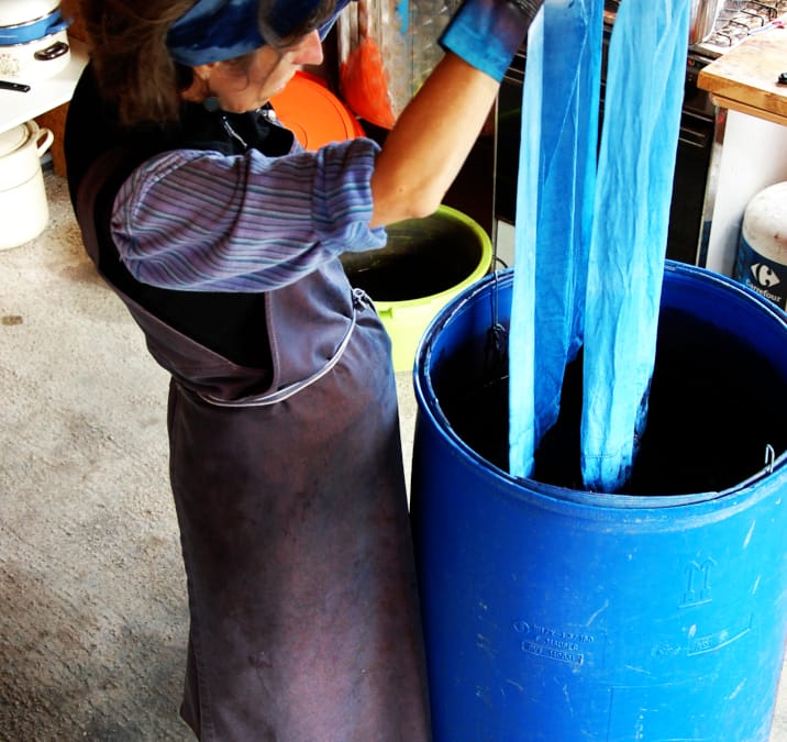 La Demoiselle BLEU